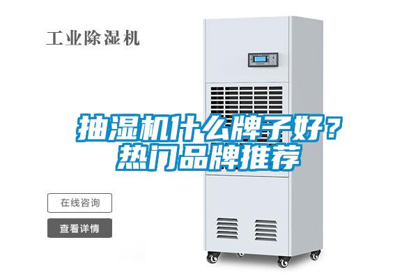 抽濕機什么牌子好？熱門品牌推薦