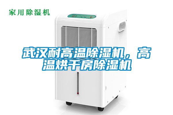 武漢耐高溫除濕機，高溫烘干房除濕機