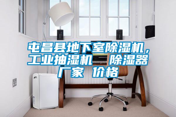 屯昌縣地下室除濕機(jī)，工業(yè)抽濕機(jī)  除濕器廠家 價(jià)格