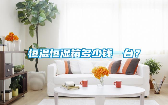 恒溫恒濕箱多少錢一臺？