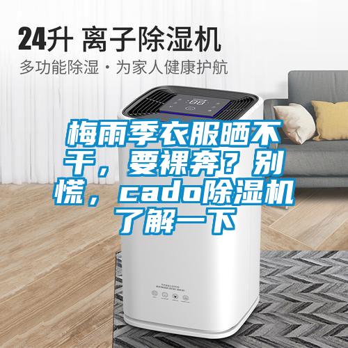 梅雨季衣服曬不干，要裸奔？別慌，cado除濕機(jī)了解一下