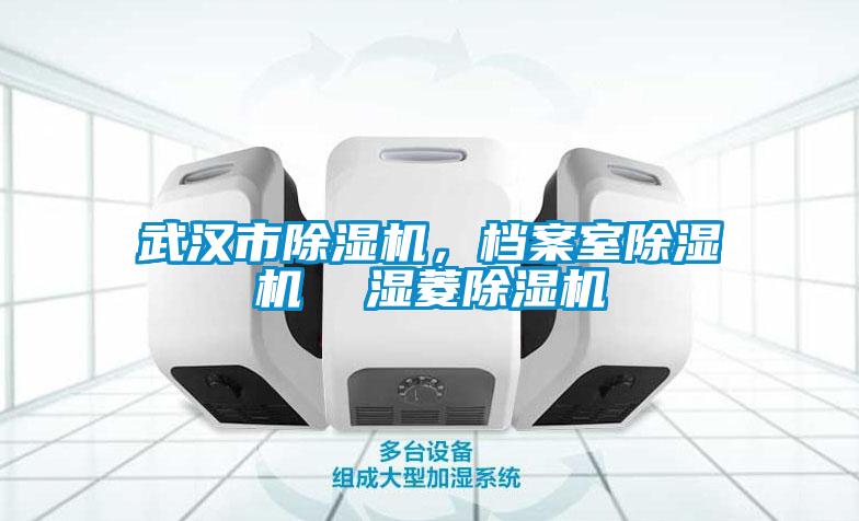 武漢市除濕機，檔案室除濕機  濕菱除濕機