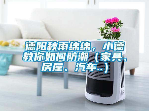 德陽秋雨綿綿，小德教你如何防潮（家具、房屋、汽車..）