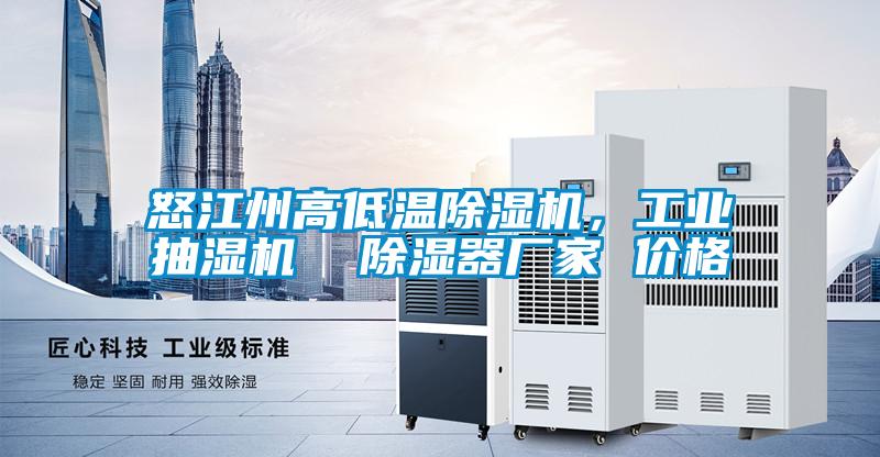 怒江州高低溫除濕機，工業(yè)抽濕機  除濕器廠家 價格