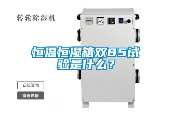 恒溫恒濕箱雙85試驗是什么？