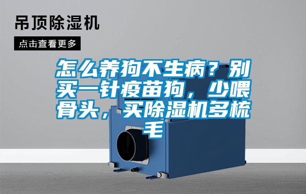 怎么養(yǎng)狗不生??？別買(mǎi)一針疫苗狗，少喂骨頭，買(mǎi)除濕機(jī)多梳毛