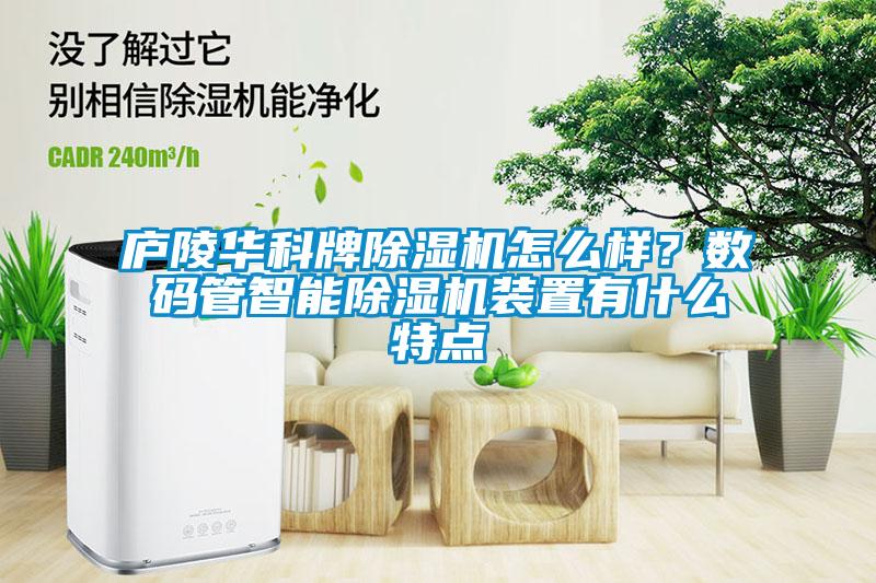廬陵華科牌除濕機怎么樣？數(shù)碼管智能除濕機裝置有什么特點