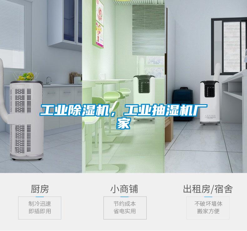 工業(yè)除濕機，工業(yè)抽濕機廠家