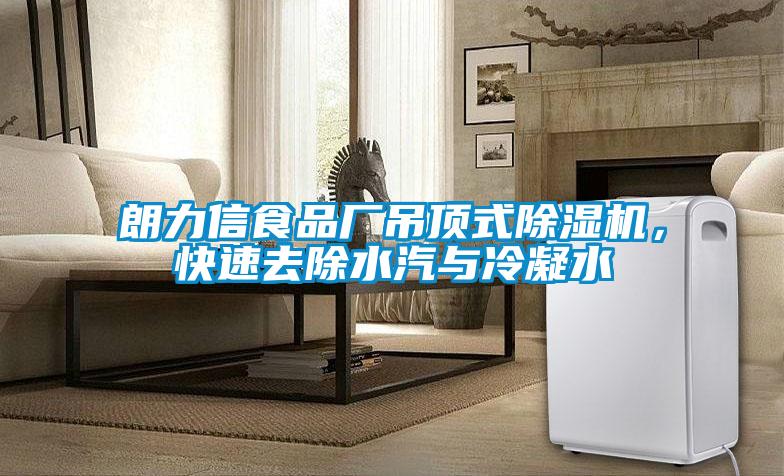 朗力信食品廠吊頂式除濕機(jī)，快速去除水汽與冷凝水