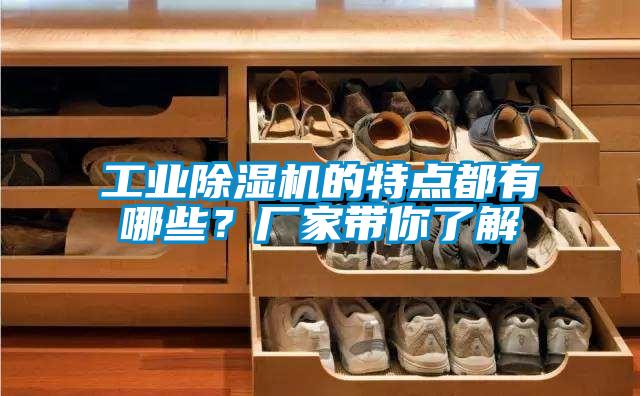 工業(yè)除濕機(jī)的特點(diǎn)都有哪些？廠家?guī)懔私?/></p>
						    <p style=
