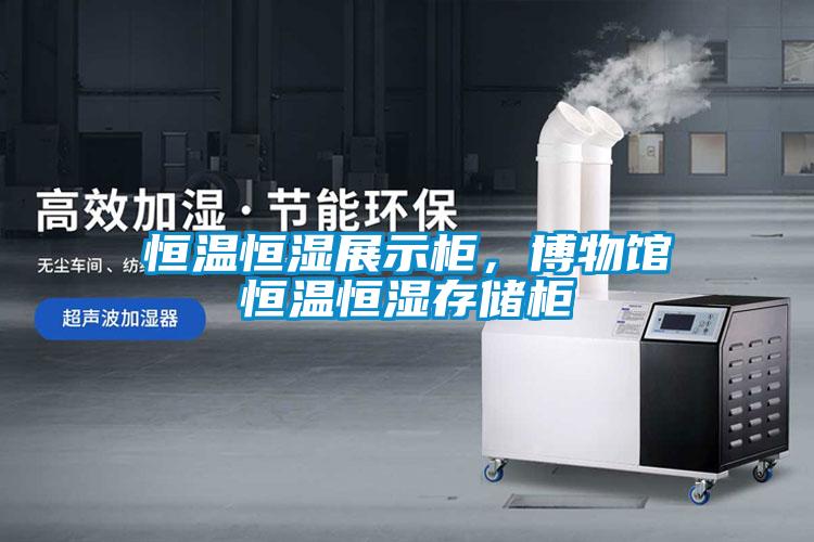 恒溫恒濕展示柜，博物館恒溫恒濕存儲(chǔ)柜