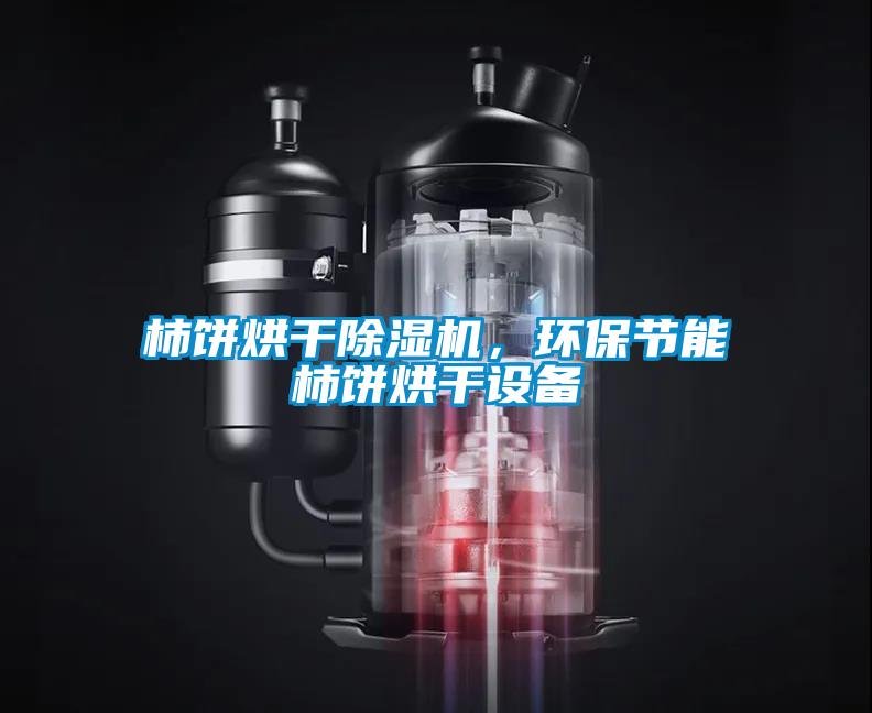 柿餅烘干除濕機，環(huán)保節(jié)能柿餅烘干設(shè)備