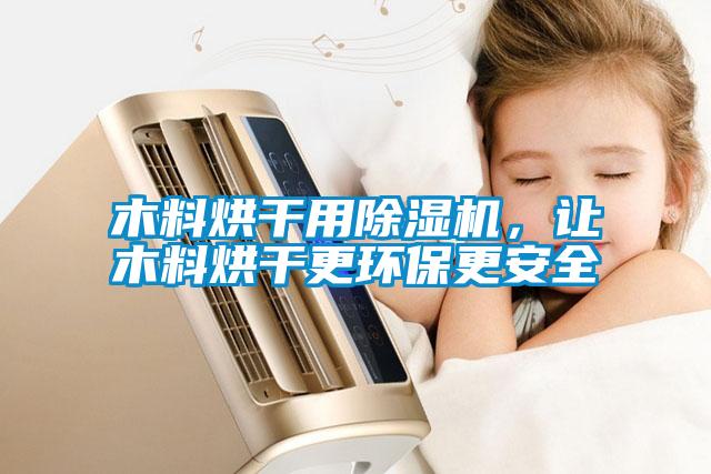 木料烘干用除濕機，讓木料烘干更環(huán)保更安全