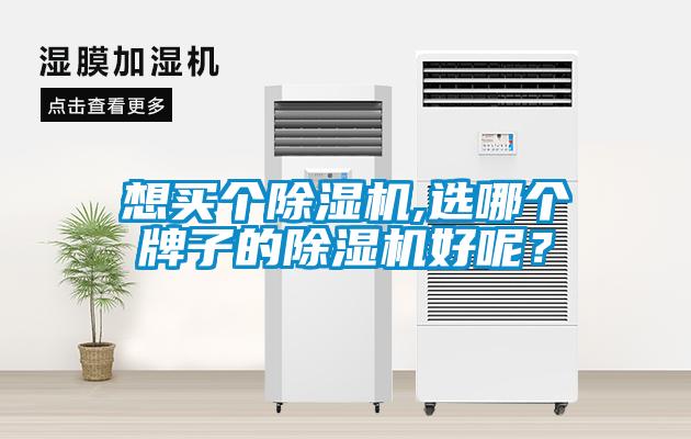 想買個除濕機,選哪個牌子的除濕機好呢？