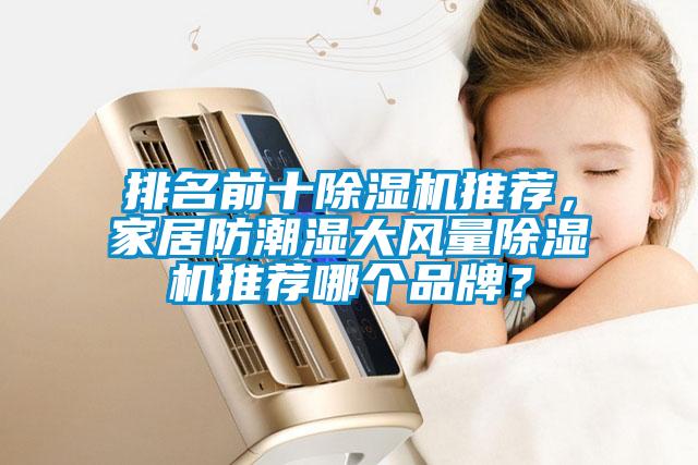 排名前十除濕機(jī)推薦，家居防潮濕大風(fēng)量除濕機(jī)推薦哪個品牌？