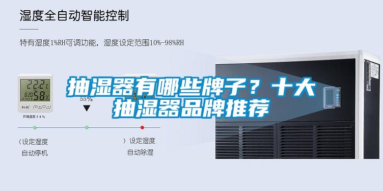 抽濕器有哪些牌子？十大抽濕器品牌推薦