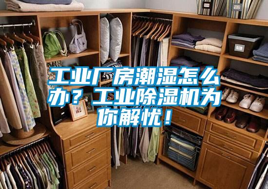 工業(yè)廠房潮濕怎么辦？工業(yè)除濕機為你解憂！