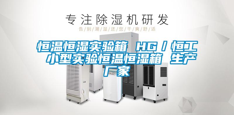 恒溫恒濕實(shí)驗(yàn)箱 HG／恒工 小型實(shí)驗(yàn)恒溫恒濕箱 生產(chǎn)廠(chǎng)家
