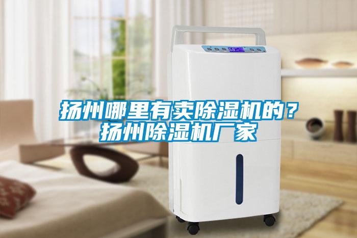 揚(yáng)州哪里有賣除濕機(jī)的？揚(yáng)州除濕機(jī)廠家