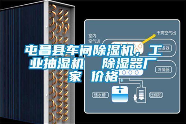 屯昌縣車間除濕機(jī)，工業(yè)抽濕機(jī)  除濕器廠家 價格