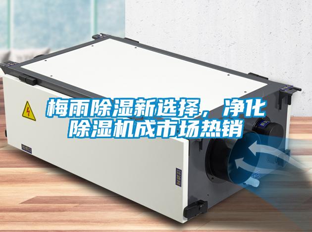 梅雨除濕新選擇，凈化除濕機(jī)成市場(chǎng)熱銷
