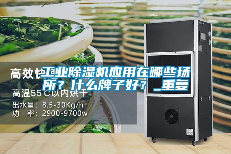 工業(yè)除濕機應用在哪些場所？什么牌子好？_重復