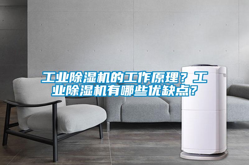 工業(yè)除濕機的工作原理？工業(yè)除濕機有哪些優(yōu)缺點？