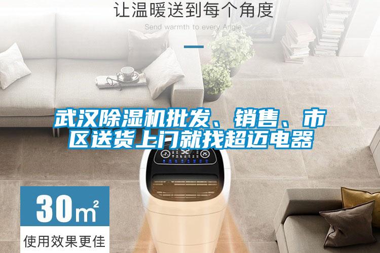 武漢除濕機批發(fā)、銷售、市區(qū)送貨上門就找超邁電器