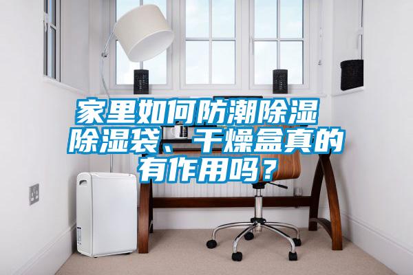 家里如何防潮除濕 除濕袋、干燥盒真的有作用嗎？