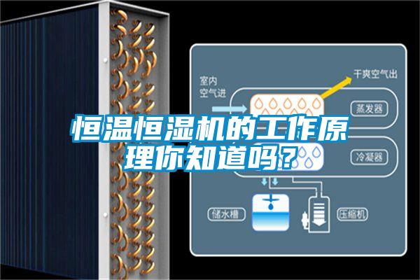 恒溫恒濕機(jī)的工作原理你知道嗎？
