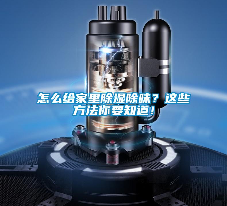 怎么給家里除濕除味？這些方法你要知道！
