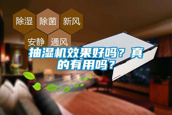 抽濕機效果好嗎？真的有用嗎？