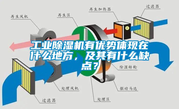 工業(yè)除濕機(jī)有優(yōu)勢(shì)體現(xiàn)在什么地方，及其有什么缺點(diǎn)？