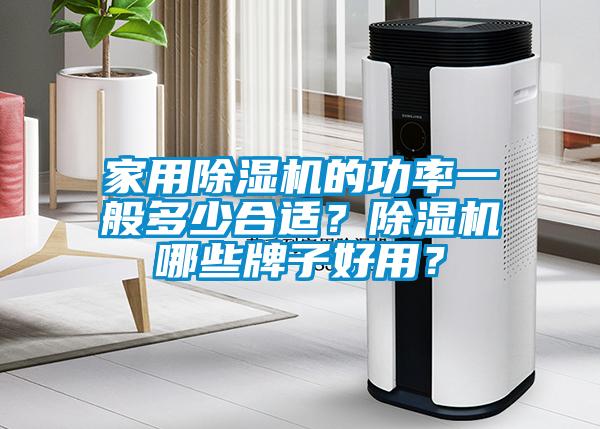 家用除濕機(jī)的功率一般多少合適？除濕機(jī)哪些牌子好用？