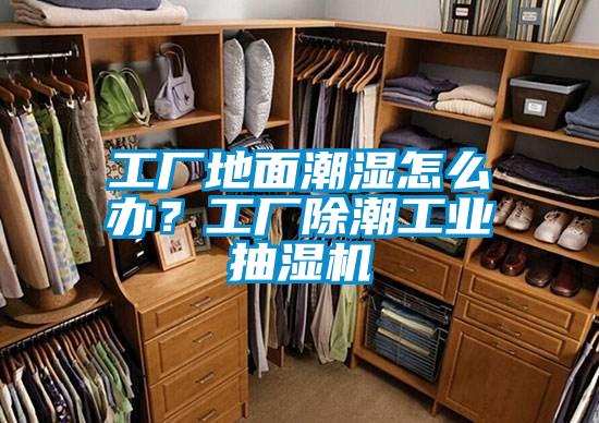 工廠地面潮濕怎么辦？工廠除潮工業(yè)抽濕機(jī)