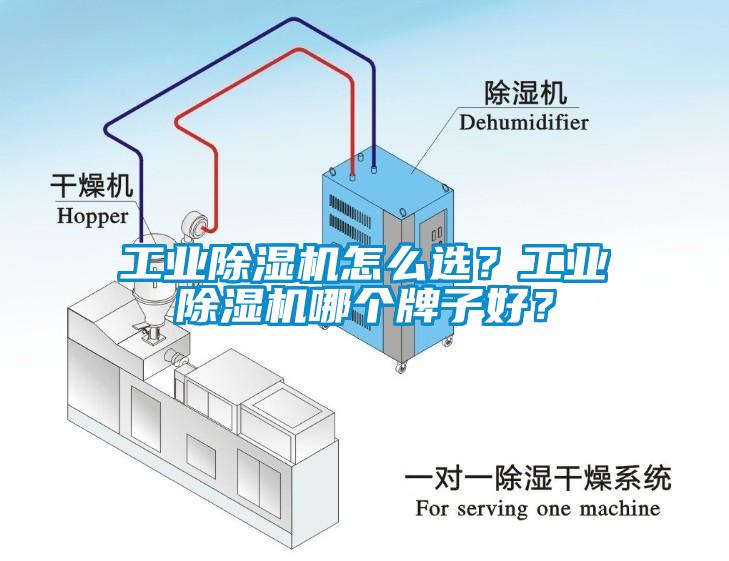 工業(yè)除濕機怎么選？工業(yè)除濕機哪個牌子好？