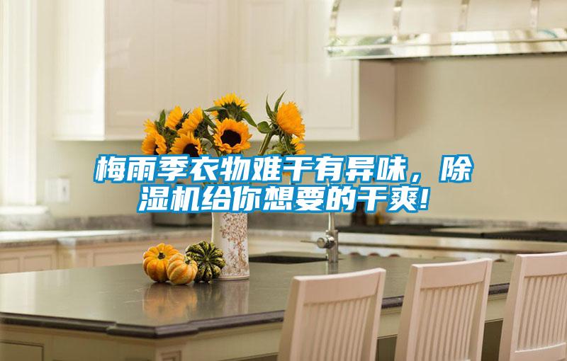 梅雨季衣物難干有異味，除濕機(jī)給你想要的干爽!