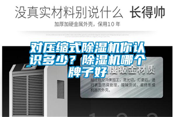 對壓縮式除濕機你認識多少？除濕機哪個牌子好