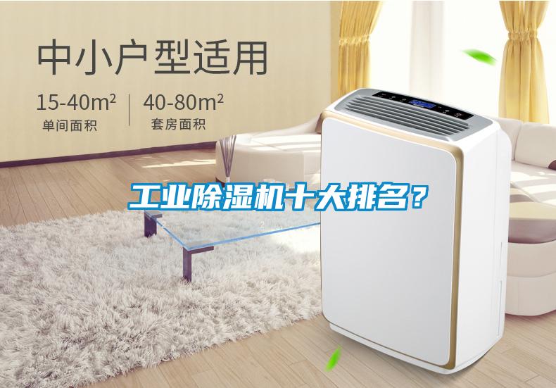 工業(yè)除濕機(jī)十大排名？