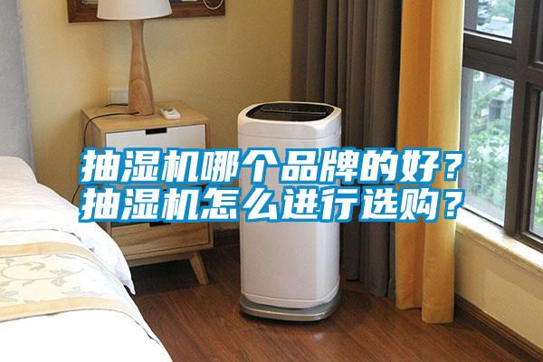 抽濕機(jī)哪個品牌的好？抽濕機(jī)怎么進(jìn)行選購？