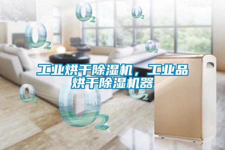 工業(yè)烘干除濕機(jī)，工業(yè)品烘干除濕機(jī)器