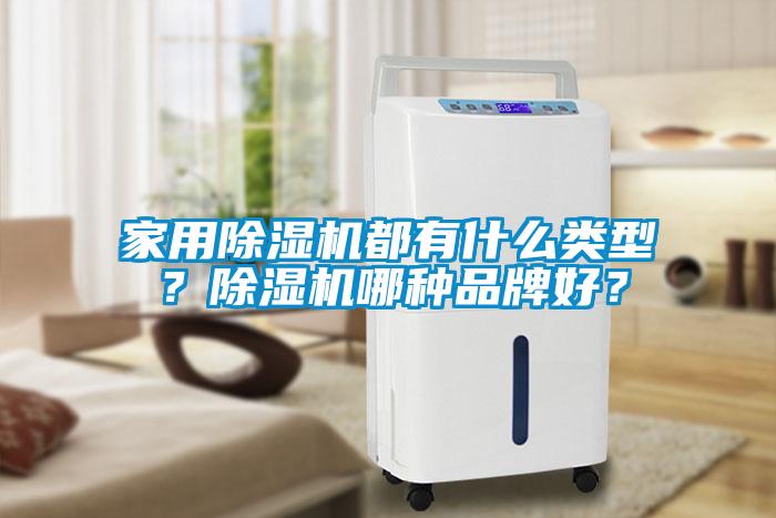 家用除濕機(jī)都有什么類型？除濕機(jī)哪種品牌好？