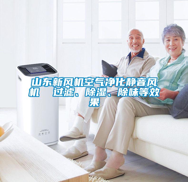 山東新風(fēng)機空氣凈化靜音風(fēng)機  過濾、除濕、除味等效果
