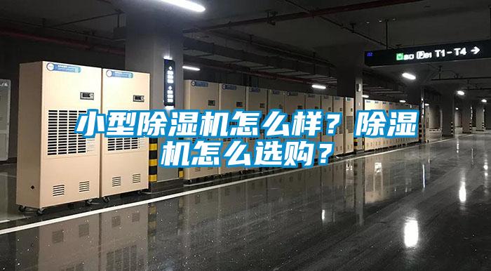 小型除濕機怎么樣？除濕機怎么選購？