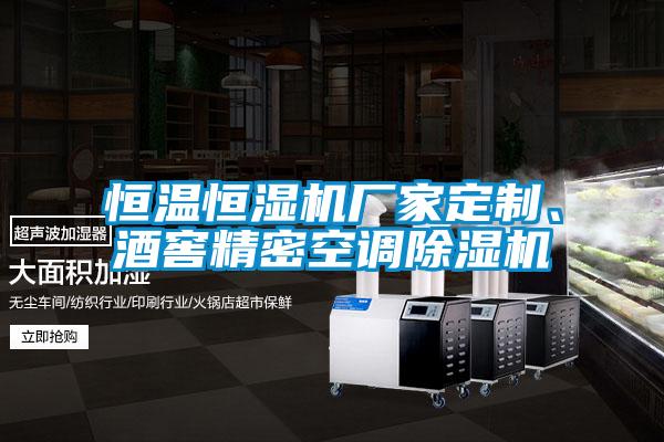 恒溫恒濕機(jī)廠家定制、酒窖精密空調(diào)除濕機(jī)