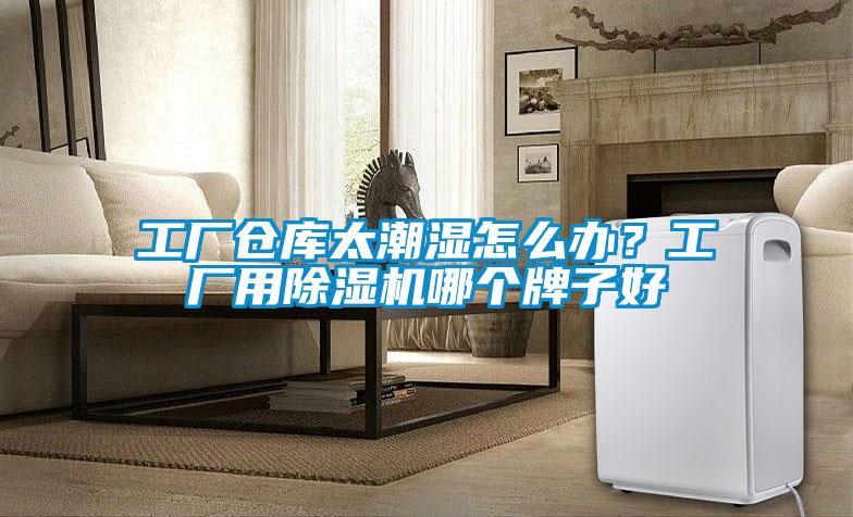 工廠倉庫太潮濕怎么辦？工廠用除濕機(jī)哪個(gè)牌子好