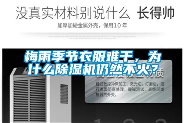梅雨季節(jié)衣服難干，為什么除濕機仍然不火？