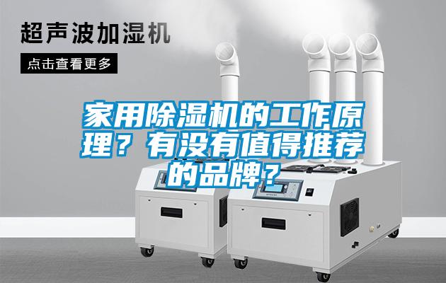 家用除濕機(jī)的工作原理？有沒有值得推薦的品牌？