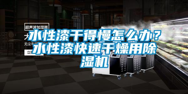 水性漆干得慢怎么辦？水性漆快速干燥用除濕機(jī)