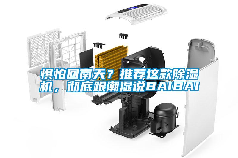 懼怕回南天？推薦這款除濕機，徹底跟潮濕說BAIBAI